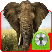 Elephant Theme for GO Locker icon