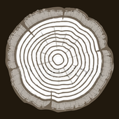 zz-delete-North Idaho Log icon