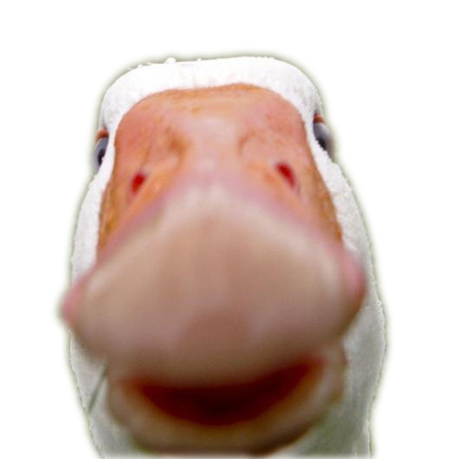 Duck Army (Goat Edition) icon