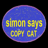 Simon Says Copy Cat icon