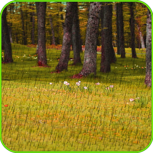 Rainy Live Wallpaper! icon