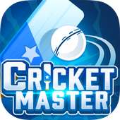 Cricket Master