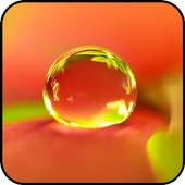 HD Nice Waterdrop Wallpaper icon