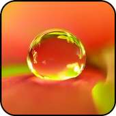 HD Nice Waterdrop Wallpaper on 9Apps