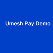 Payment Demo icon