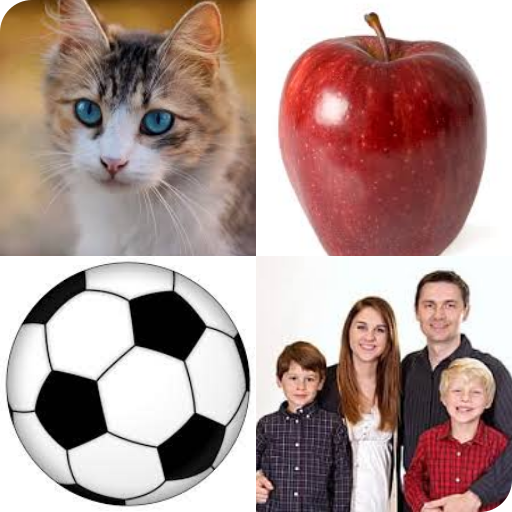 Connect- Primary1-Term1 icon