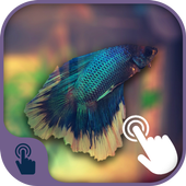 3D Touch Live Photo Wallpaper icon