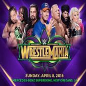 WWE WrestleMania 2018 All Fight icon