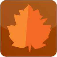 Autumn Theme by Micromax