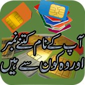 Pak SIM Verification Info icon