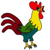 Gallo despertador icon
