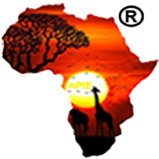 APIE Networking icon