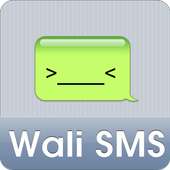 Wali SMS-iPhone classic theme on 9Apps