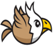 Irish Crazy Bird icon