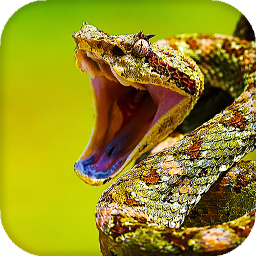 Snake Live Wallpaper icon