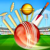 Wicket hit cricket game