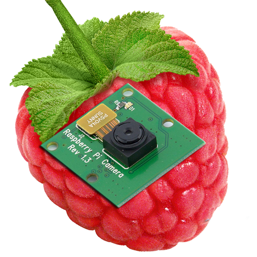 RaspberryPi Camera Viewer icon
