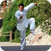 Kung Fu Learning -Training App on 9Apps