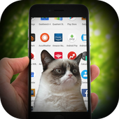 Cat On Screen Funny Prank icon