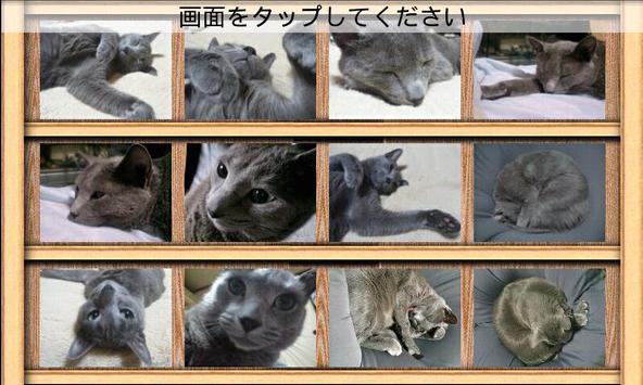 Photo Collection screenshot 2