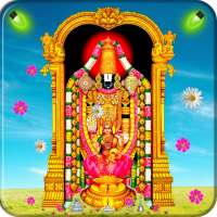 Tirupati Balaji Live Wallpaper