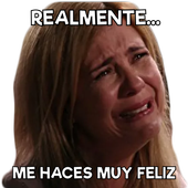 Memes with Phrases Stickers in Spanish WhatsApp icon