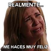 Memes with Phrases Stickers in Spanish WhatsApp on 9Apps