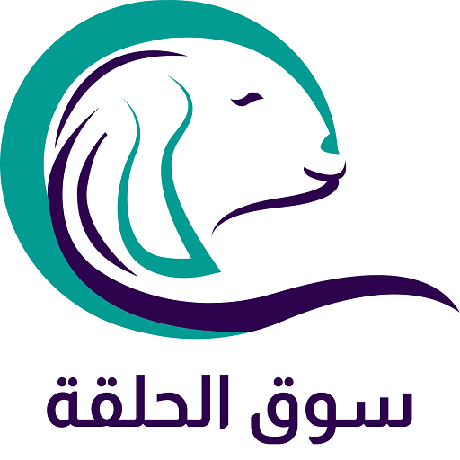 سوق الحلقة أيقونة