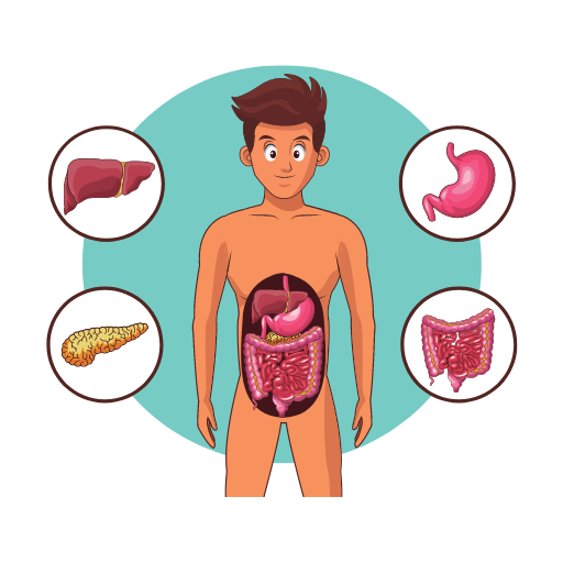 Human Anatomy and Physiology (HAP) Notes, Lessons icon