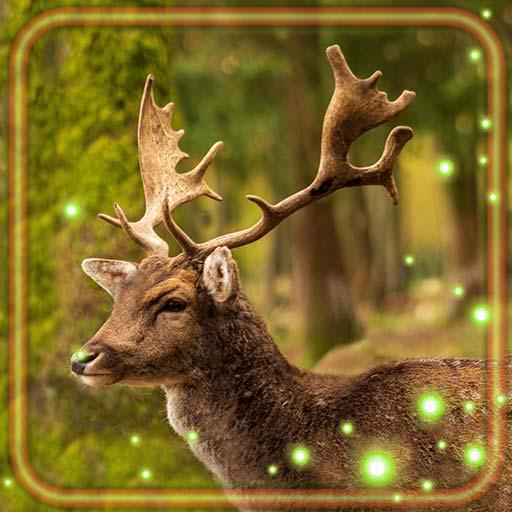 Forest Animals Live Wallpaper icon