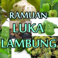 Tanaman Herbal Untuk Menurunkan Asam Lambung on 9Apps