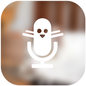 Cute Voice Changer icon