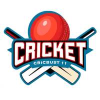 CricBust 11 : Live Line & Score