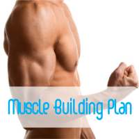 Muscle Building Diet Plan on 9Apps