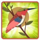 Bubble Hummingbird Rescue