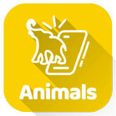 Animal 3D icon