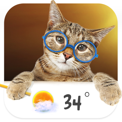 Cat weather widget icon