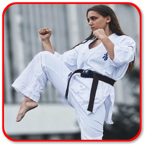 Apprendre du karaté icon