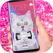 cat in phone funny joke icon