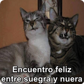 Imágenes Graciosas para Whatsapp icon