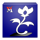 ikon Logical Thinking