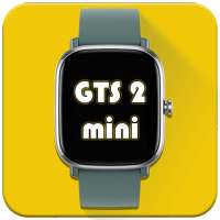 Amazfit GTS2 mini Watchfaces