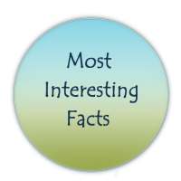 Most Interesting Facts on 9Apps