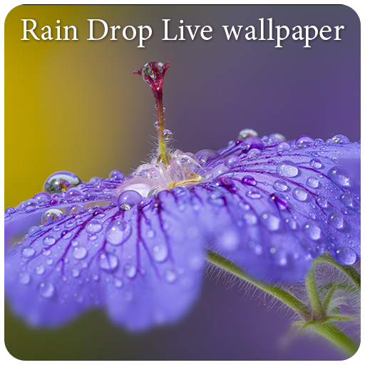 Rain Drop Live Wallpaper icon