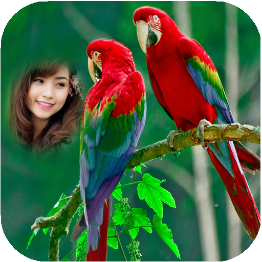 Parrot Photo Frames HD icon