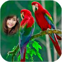 Parrot Photo Frames HD on 9Apps