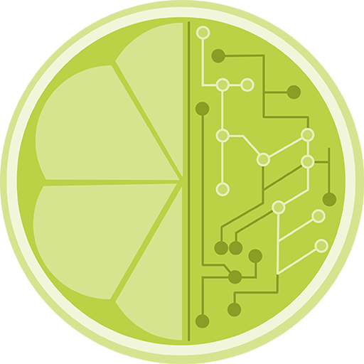 LIME icon