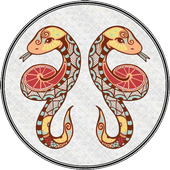 Gemini Horoscope 2016 icon