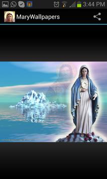 Virgin Mary Gallery screenshot 3
