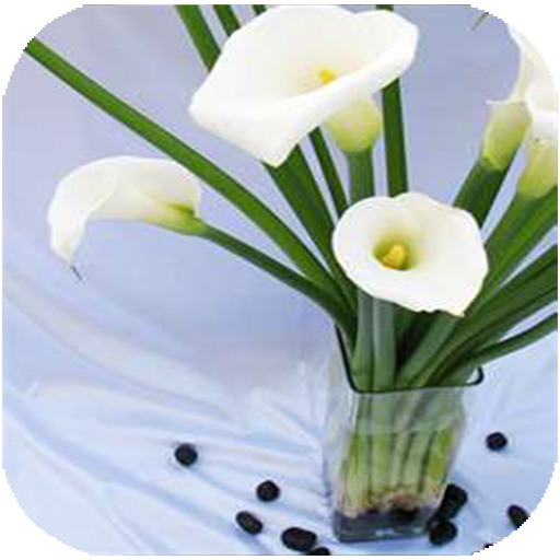 پرورش گل و گیاه در منزل icon